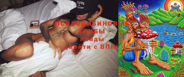 дурь Бронницы