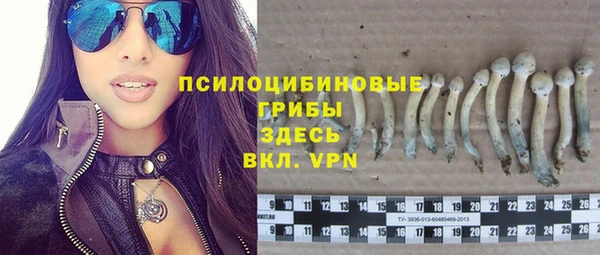 дурь Бронницы